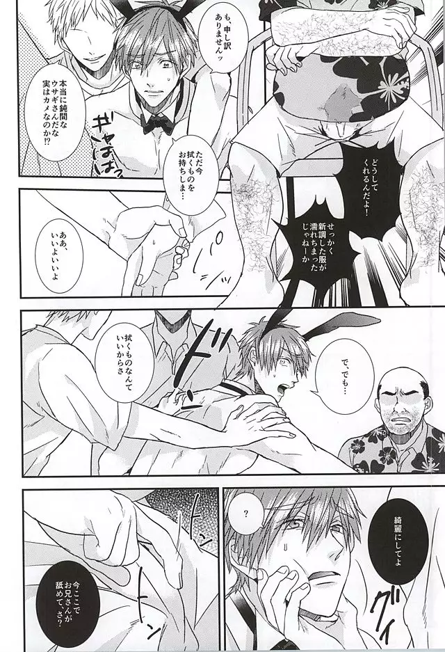 こっちむいて!バニーさん!