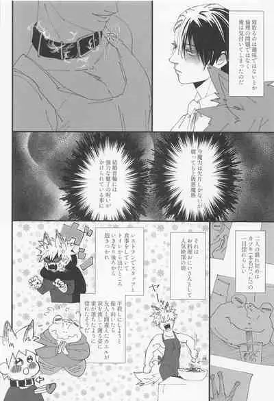 Danchi Ookami