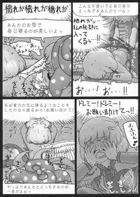 (Reitaisai 13) [Ninniku Batake (Ninniku)] Sagishi (Touhou Project)