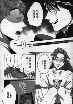 Hatsujou Kemono Hiyori | 發情野獸日和