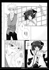 (C72) [Neko Kinryouku (NekoNeko)] Koneko Asobi