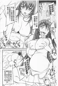 [Nozarashi Satoru] Do S na Hime wa Kegasareru -Ouhou no Shou- | 超S的公主被玷汙了 ～報應之章～ [Chinese]