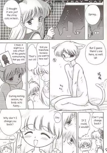 Sailor Venus - The Stray Cat