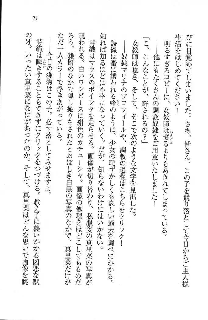 解放区～痴漢ハーレム