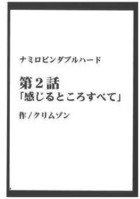 [Crimson Comics (Carmine)] Koukai Soushuuhen 2 (One Piece)