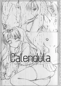 (C70)[[Yakan Hikou (Inoue Tommy)] Calendula (ToHeart 2)