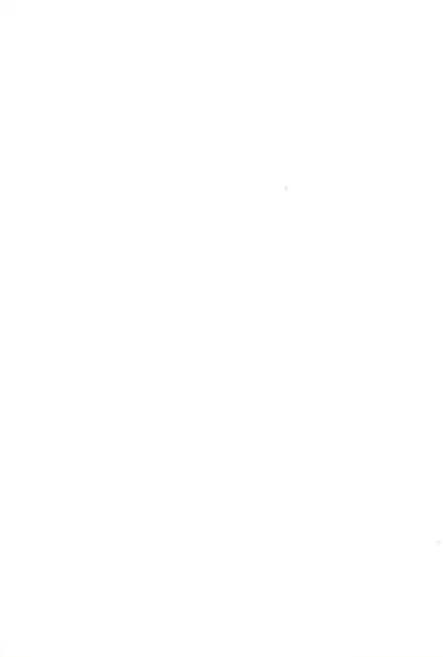 Amattaharunen 2