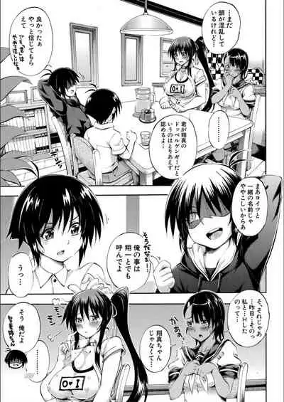 Onee-chan ga Boku? ni Netorarechau!