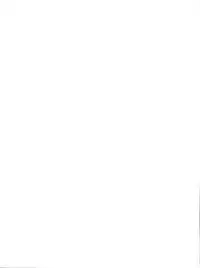 (C49) [SAIRO PUBLISHING (J.Sairo)] Yamainu Volume. 2 (Various)