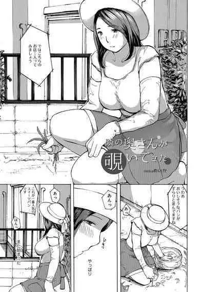 Okusan wa Toshishita ga Daisuki