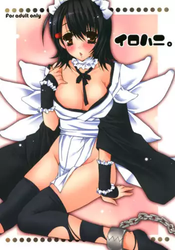 [電脳冬蜜柑] - Irohani