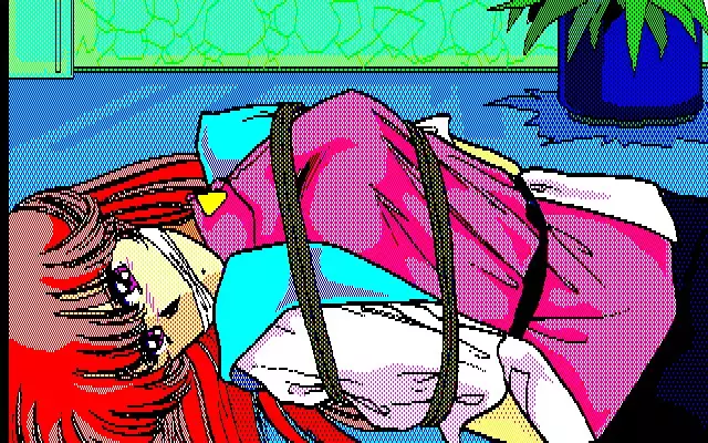 Aniparo Menyou CG Data Shuu Disk Noah v2v3