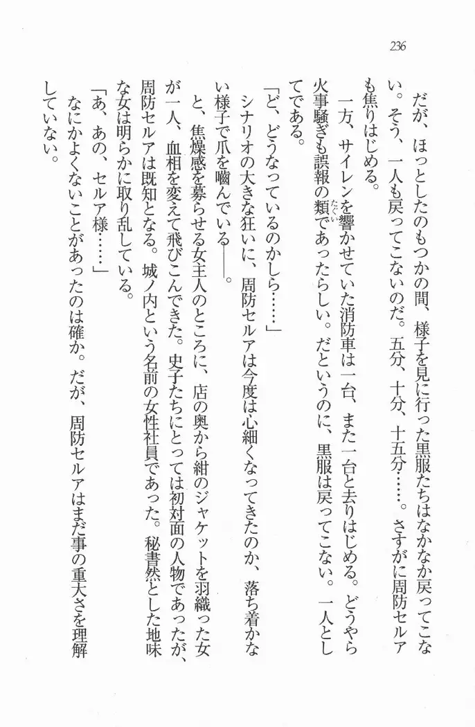 メイド喫茶　猫の隠れ家