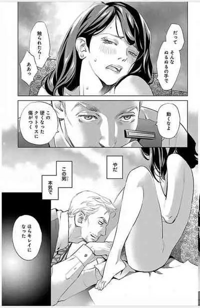 Subete Ai no Shiwaza/愛調教成性俘虜/爱调教成性俘虏/すべて愛のしわざ——もんでんあきこ vol 1-3End