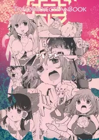 (C81) [Oimoto] Midarekitta Reimu ni Mono Mousu!? (Touhou Project)
