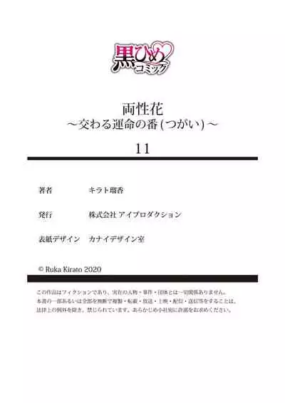 両性花～交わる運命の番（つがい）～ 第11話