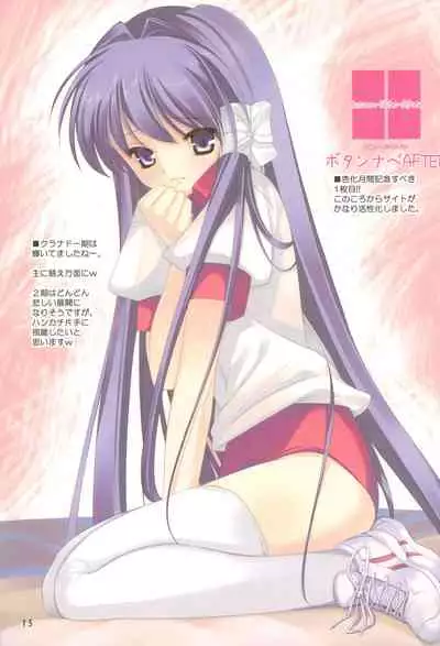 (C75) [ActiveMover (Arikawa Satoru)] Button Nabe After (Clannad)