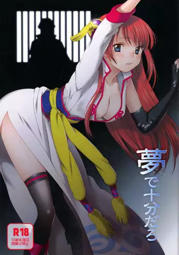 (Kabukichou Daishuukai) [S-FLAKE (Yukimitsu)] Yume de Juubundaro (Gintama)