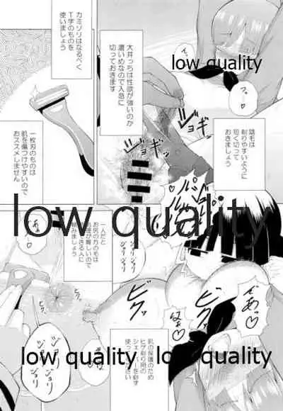 ソリコレ 艦娘剃毛合同