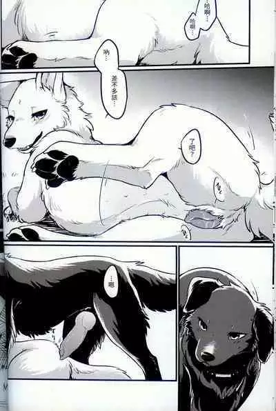 Hakoniwa Jealousy | 箱庭之妒