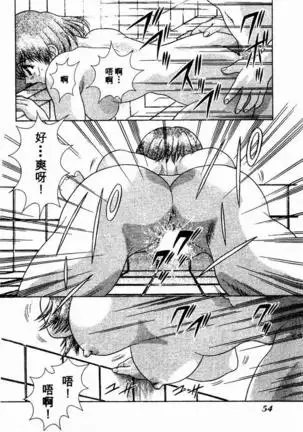 Harem Kakumei 2 | 閨房革命2