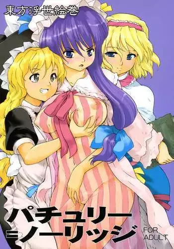 Touhou Ukiyo Emaki Patchouli Knowledge