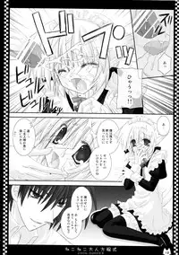 (C70) [Neko Kinryouku (NekoNeko)] NekoNeko Otona Houteishiki