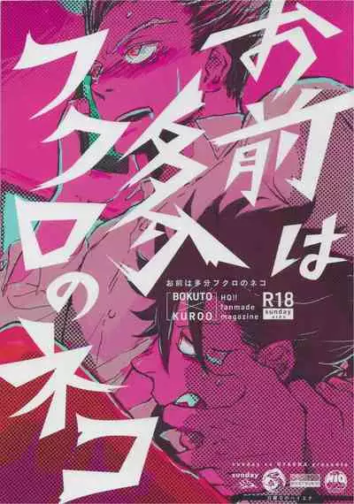 「Hyaena、Sunday」Maybe You Are The Cat In The Paper Bag | 你大概是纸袋里的猫