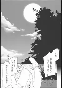 (C69) [Kappa Create (Abeno Chaco)] サモサモしゅがー (Summon Night)