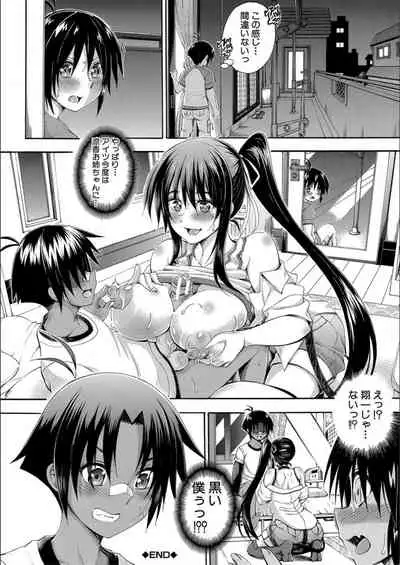 Onee-chan ga Boku? ni Netorarechau!