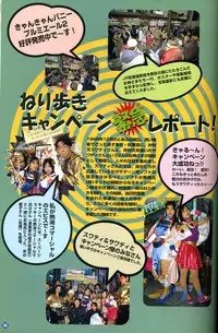 [Visual Fanbook][F&C] きゃんきゃんバニー プルミエール２攻略&設定資料集