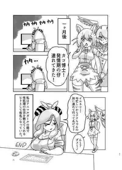 Kemo Fri Muchi Situation Goudou