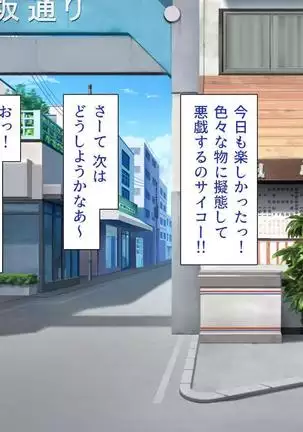 Iroiro na Motsu ni Gitai shi te e Tchi na Itazura Shi Houdai