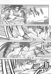 お楽しみはこれからだ!! (CODE GEASS: Lelouch of the Rebellion)