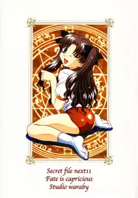 (C67) [Studio Wallaby (Takana Yu-ki)] SECRET FILE NEXT 11 - Fate is capricious (Fate/stay night)