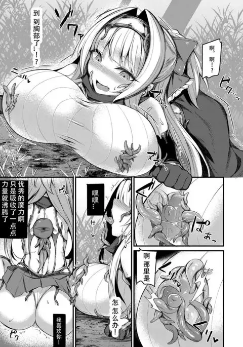 Etsuda no Kishi Shinoa | 悦堕的姬骑士