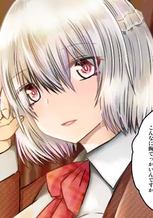 女子高生サグメ 痴漢電車編