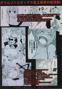 [Crimson Comics (Carmine)] Koukai Soushuuhen 2 (One Piece)