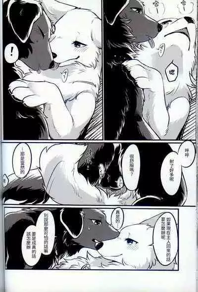 Hakoniwa Jealousy | 箱庭之妒