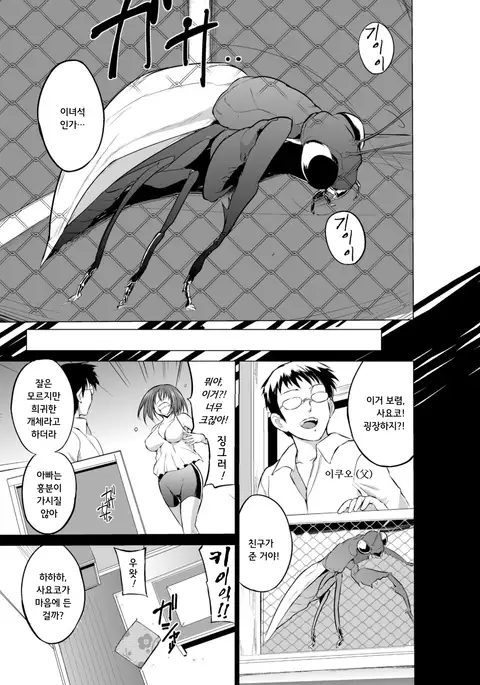 Mushi Asobi | 벌레유희