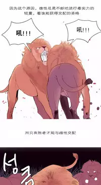 [Rozer] 一个由我统治的世界(A World that I Rule) Ch.1-10 [Chinese]