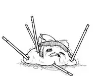 灵谬要嗯嗯体操咯♪（半生不熟汉化组）