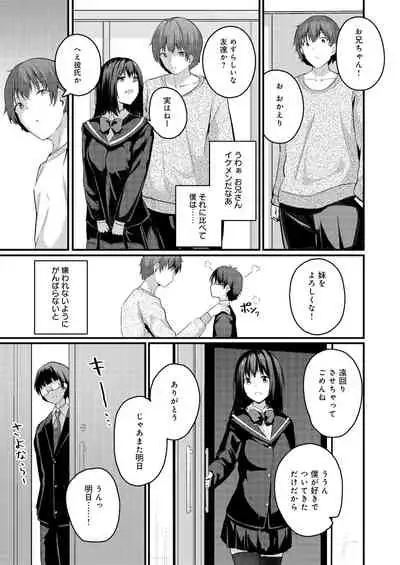 Watashi wa Ani no Mono ni Naritai