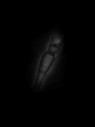 Pathetic Life（有条色狼汉化）