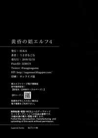[H.B.A (Usagi Nagomu)] Tasogare no Shou Elf 4 [Chinese] [無邪気漢化組] [Digital]