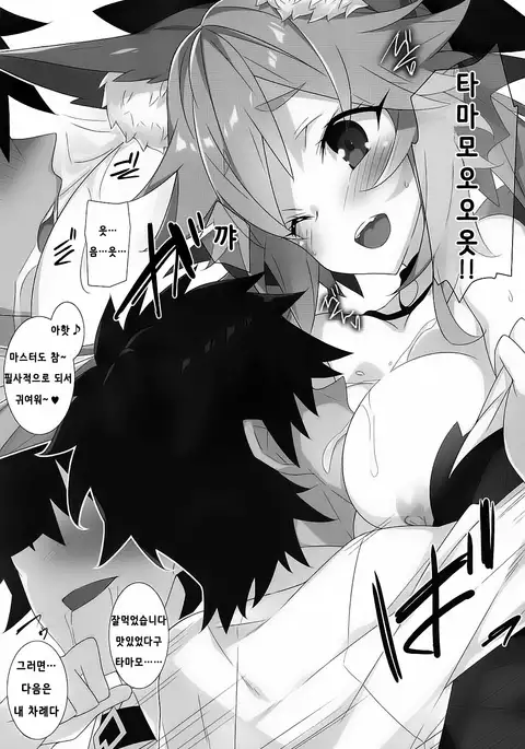 Hanamizake / 꽃구경 술