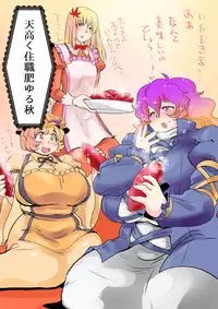 [Danna] Touhou Pragmatizer 17 (Touhou Project)