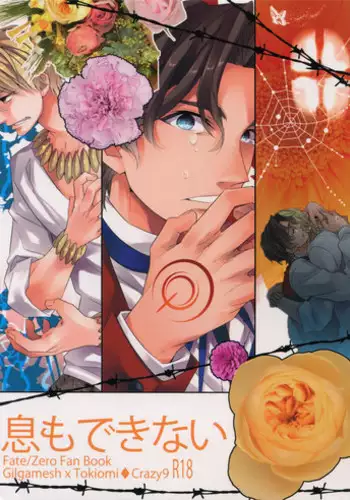 (C86) [Crazy9 (Ichitaka)] Ikimo Deki Nai (Fate/Zero)