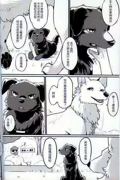 Hakoniwa Jealousy | 箱庭之妒