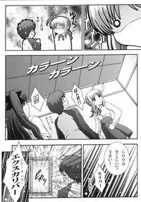 (C67) [Studio Wallaby (Takana Yu-ki)] SECRET FILE NEXT 11 - Fate is capricious (Fate/stay night)